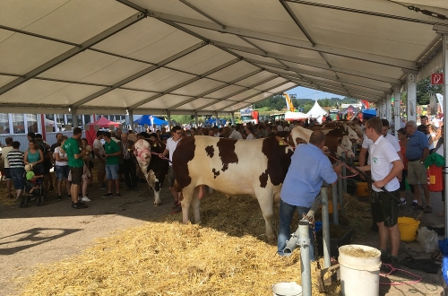 WTC na výstavě Böhmerwaldmesse 2019 