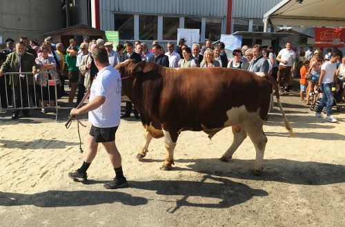 WTC na výstavě Böhmerwaldmesse 2019 